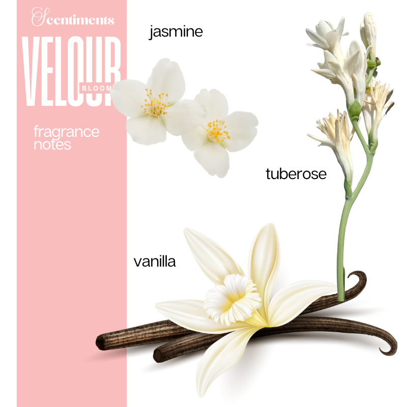 Velour Bloom Fine Fragrance Body Butter