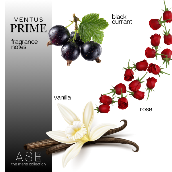 VENTUS PRIME EAU DE PARFUM