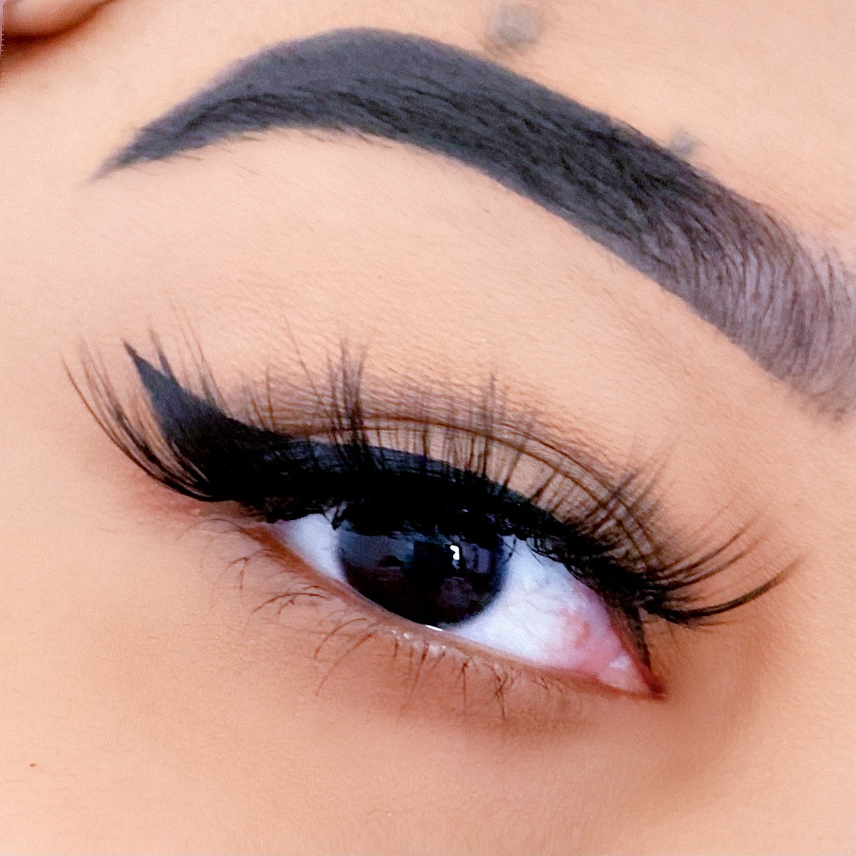Nicki image 0