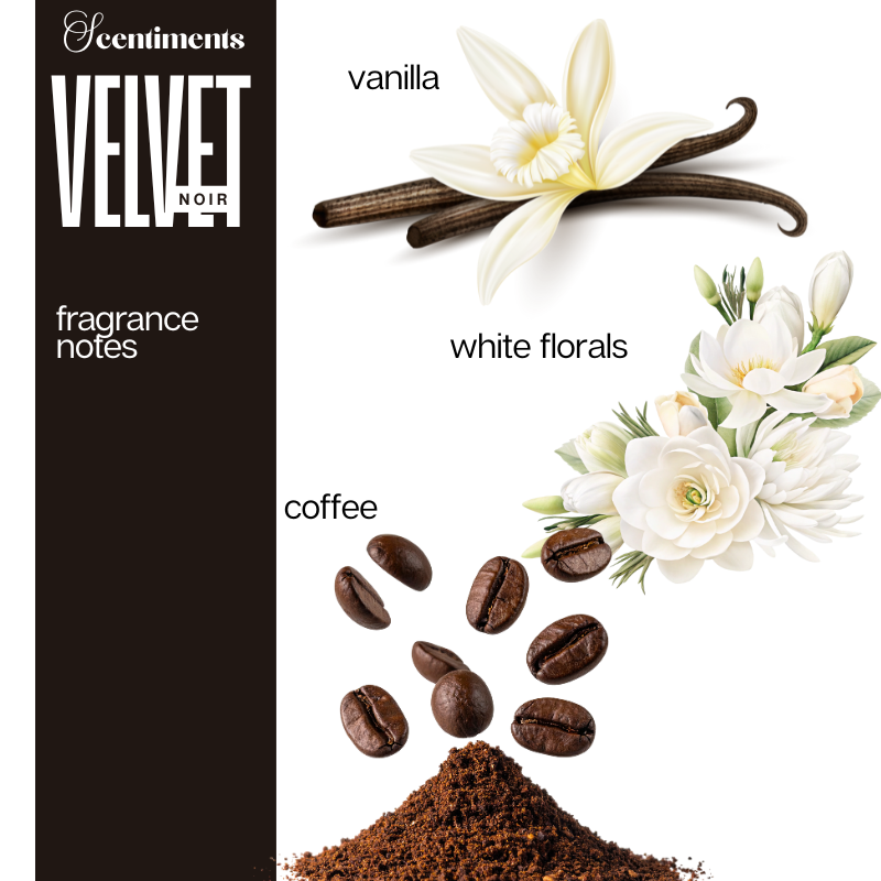 Velvet Noir Fine Fragrance Body Butter