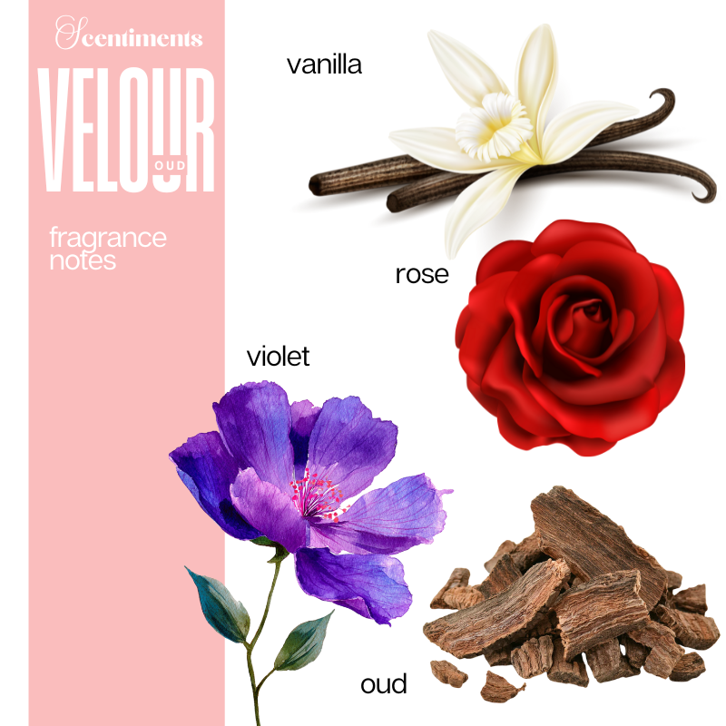 Velour OUD Fine Fragrance Body Butter
