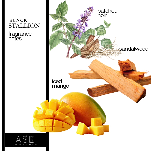 BLACK STALLION EAU DE PARFUM
