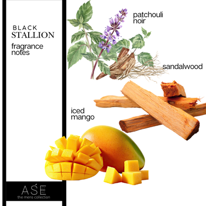 BLACK STALLION EAU DE PARFUM